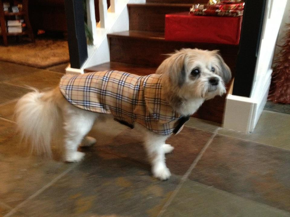 Dog Coat - London Plaid and Fleece Dog Coat- Medium- 16-18 Inch Back Length - Or Custom Size