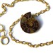 fossil necklace, Ammonite necklace, ammonite jewelry, fossil necklace, fossil jewelry, specimen