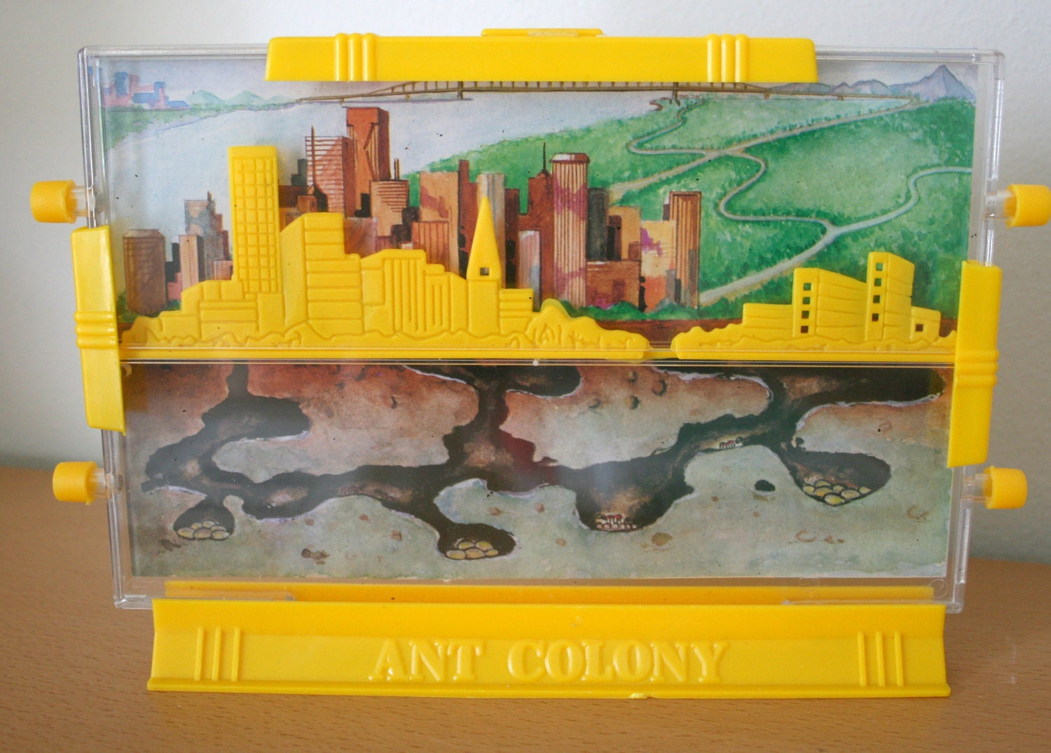 Build Your Own Ant Colony 1970's Irwin Toy Kit