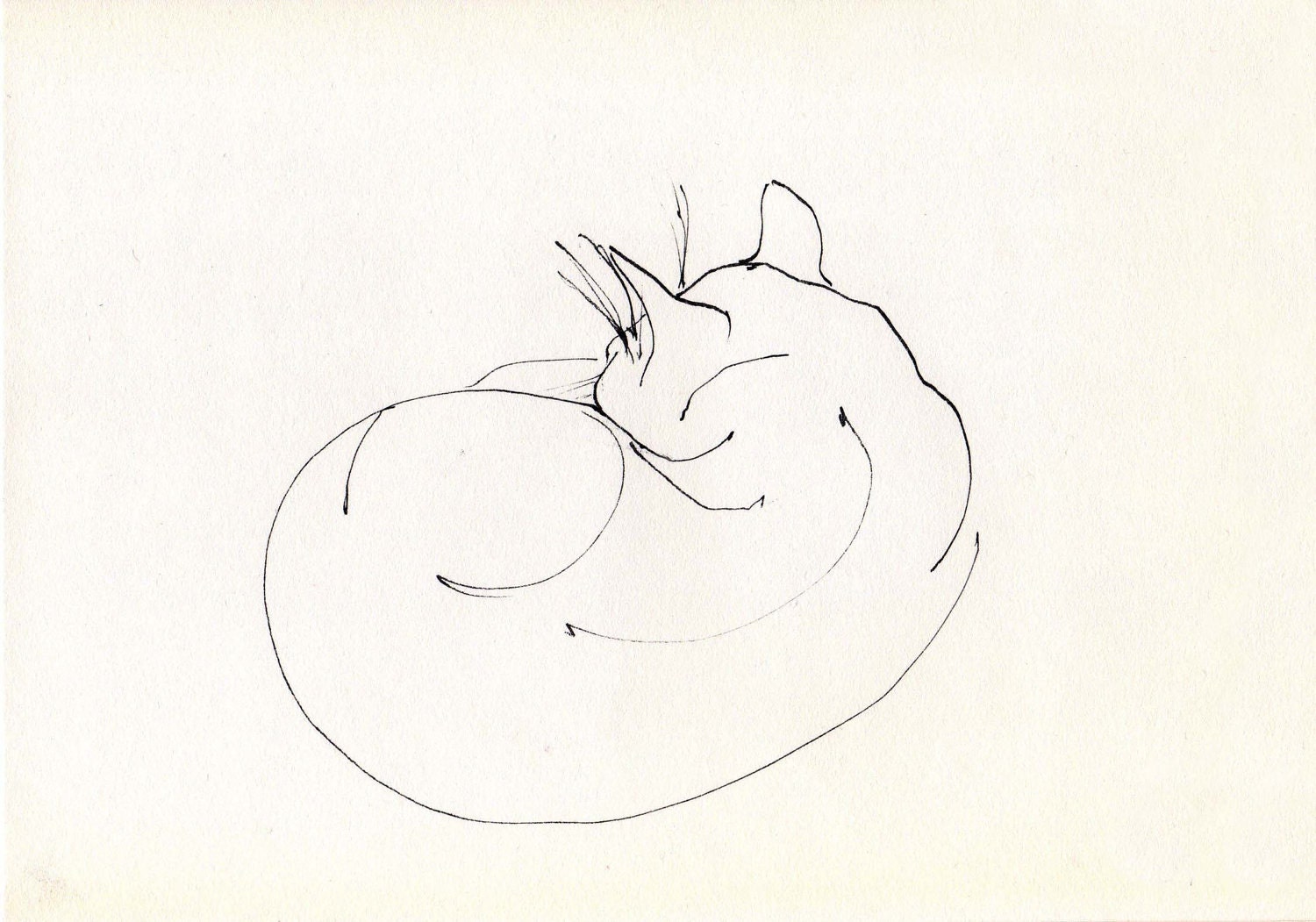 A5 PRINT - limited edition - Frida the cat X