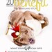 Top Hat - Tiny Hat for willing Dogs, Children and Women Red Gold White