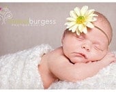 Sweet Saffron Daisy Headband For Newborn Baby, Toddler and Adult
