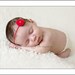 Red LolliPop Wool Felt Flower Headband Baby HeadbandsNewborn Headbands  Photography Props Baby Infants Newborns Girls Hair bows