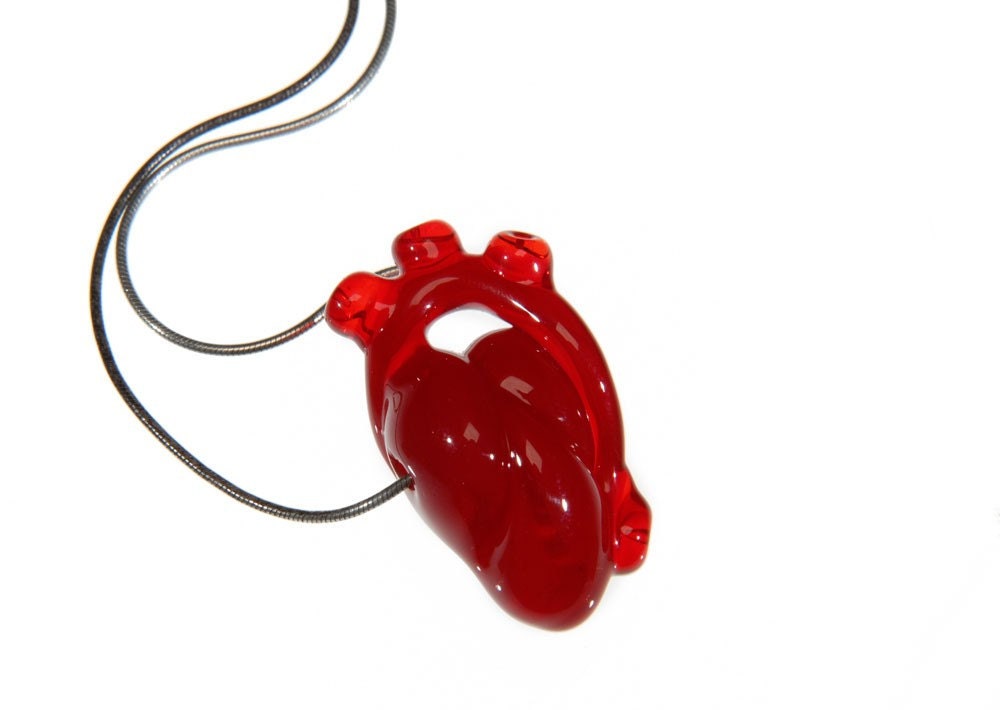 THE (anatomical) Heart of Glass