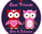 Best Friends Owl TShirt or Onesie BFF Personalized Pink Owl T Shirt Sisters Siblings
