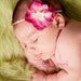Fushia Rasberry Pink w/ Ivory Vintage Small Flower w/ skinny stretch ivory elastic headband  newborn, Baby, Infant, Adult Photography