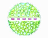 Art, Painting, Original Abstract, Spring Green, Watercolor Original, Original Art, Mandala, Minimalism, Green Art, Hot Pink