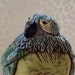 Parrot Sculpture