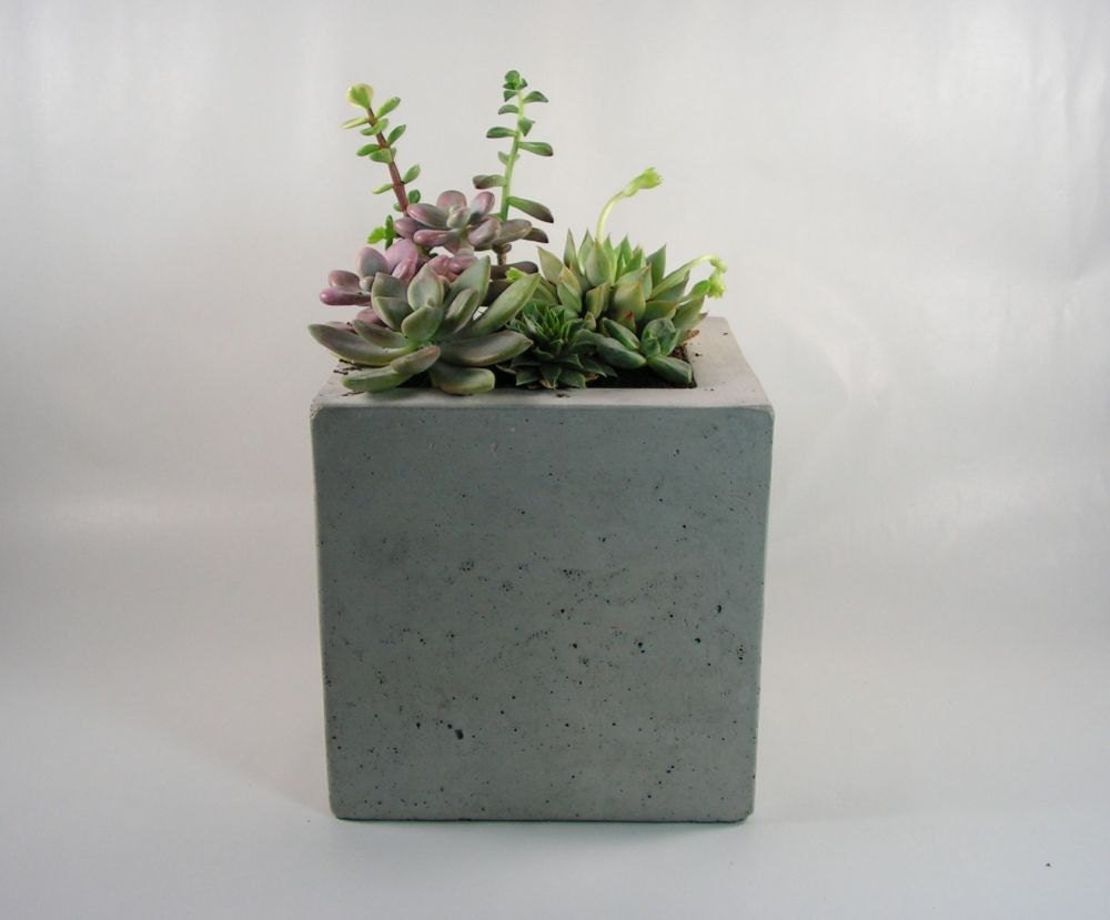 Square Concrete Planter