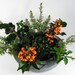 Gray Concrete Bowl