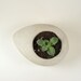Concrete Drop - set of 2