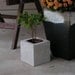 Square Concrete Planter