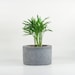 Round Concrete Planter
