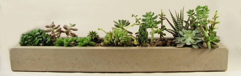 Long Concrete Tray