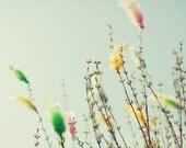 Romantic pastel photograph - fine art photography print -  feathers blue mint pink yellow whimsical nursery decor spring decor