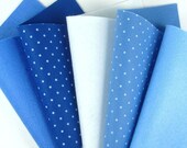 5 Colors Felt Set - Blue Mix