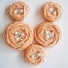 Peach Roses Handmade Appliques Embellishments(5 pcs)