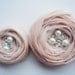Pale Pink Roses Handmade Appliques Embellishments(5 pcs)