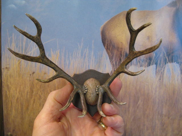 d&d elk miniature