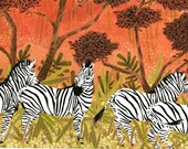 zebras