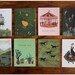 carousel card
