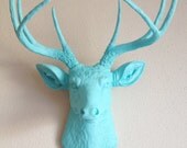 Baby Blue Deer Head Wall Mount