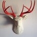 Cream & Red Deer Head Wall Mount