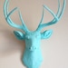 Baby Blue Deer Head Wall Mount
