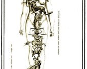 Zodiac Woman Bookplates (Personalized or Blank)