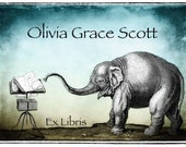 Nola the Nighttime Reader Bookplates (Personalized or Blank)