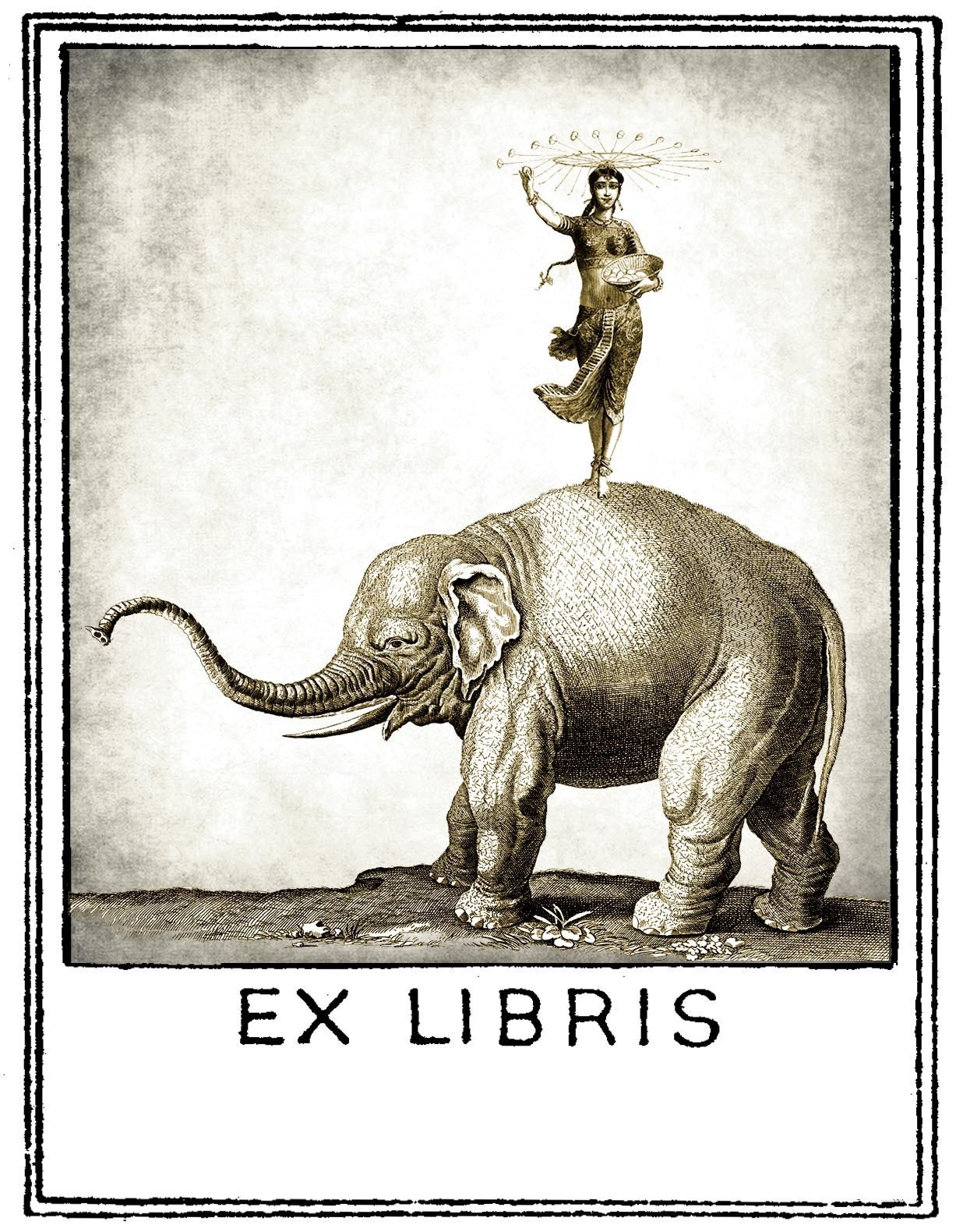 Hema the Elephant Rider Bookplates (Personalized or Blank)