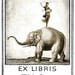 Hema the Elephant Rider Bookplates (Personalized or Blank)