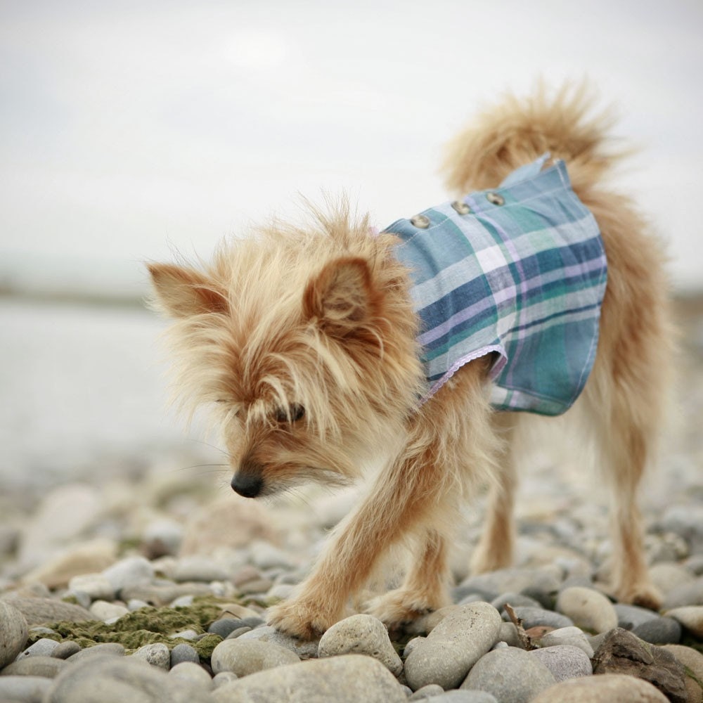 The Angler Dog Shirt