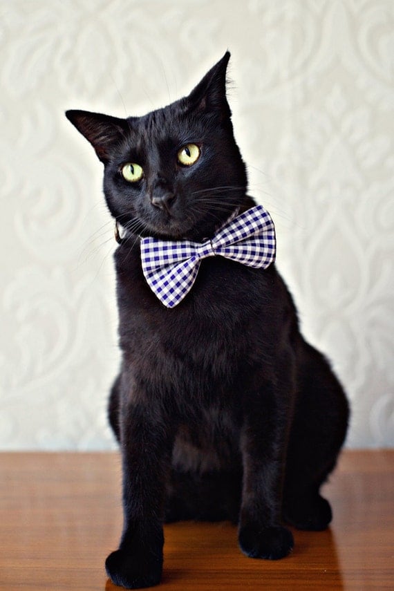 Harbor Bow Tie Cat Collar