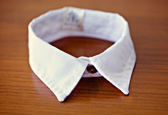 Rover Pointed Cat Collar