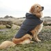The Starboard Dog Anorak