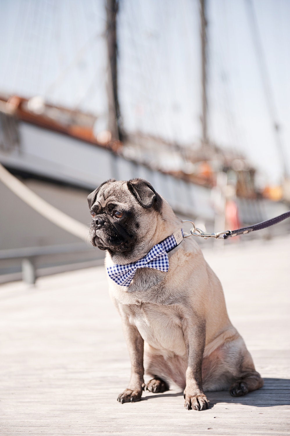 The Harbor Dog Bow Tie Collar
