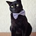 Harbor Bow Tie Cat Collar