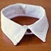 Rover Pointed Cat Collar