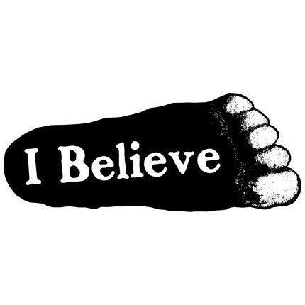 I Believe in BIGFOOT Vinyl Car Bumper Sticker