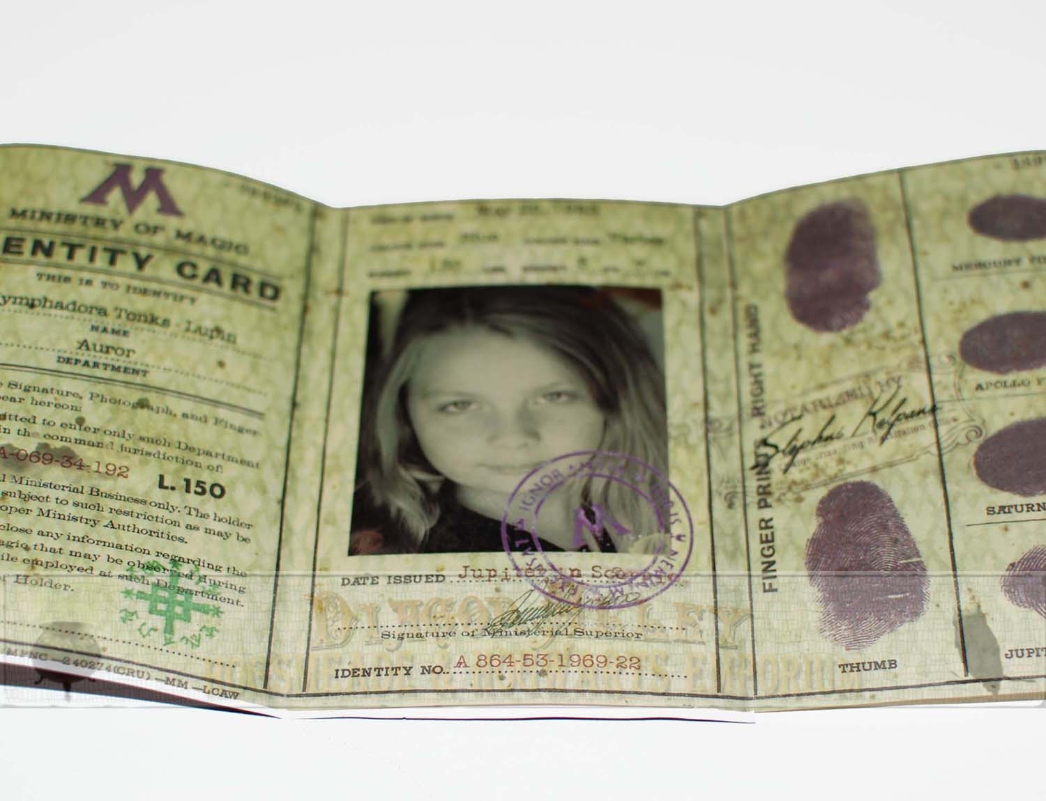 Official Wizard ID booklet from the Ministry of Magic