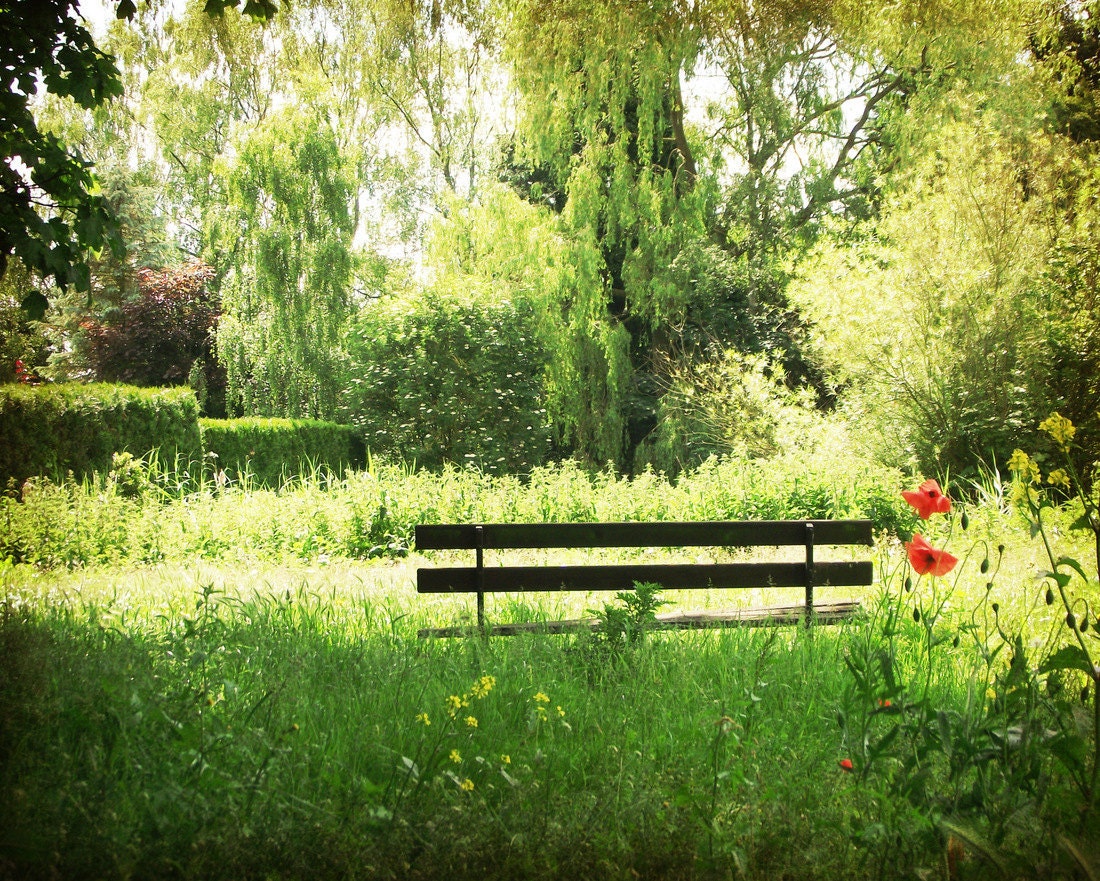 Garden Bench Photography Green Red Bench Summer Home Decor 10x8 Print Sit A While...