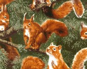 2 yards Squirrel Fabric