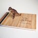 custom trike baby book // engraved