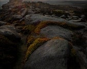 Dark Landscape. 12x8.