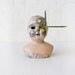 Scarface German Doll Head Air Plant Garden