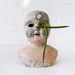 Scarface German Doll Head Air Plant Garden