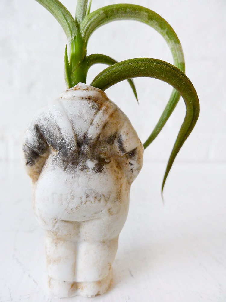 White Rabbit - No time to say "Hello, Goodbye" - Antique German Bisque Headless Doll Air Plant Garden