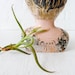 Large Antique German Rust Tin Doll with Air Plant Eye Garden