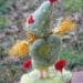 The garderner of love, Happy Valentine's Day, needle felted way to say: "I love you", Waldorf inspired